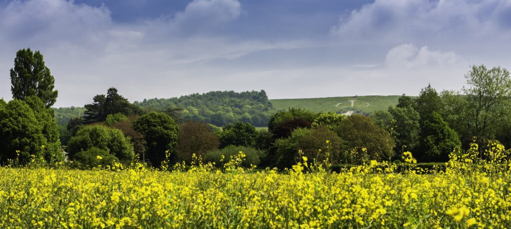 Ashford in Kent - rolling hills