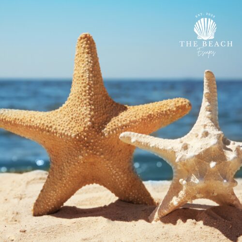 5 star Luxury Holiday Accommodation